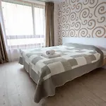 公寓 Violetos Lux Apartamentai 德拉肯恩凯