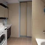 公寓 Violetos Lux Apartamentai 德拉肯恩凯