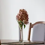 Violetos Lux Apartamentai