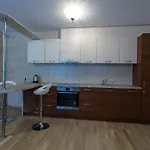 公寓 Violetos Lux Apartamentai 德拉肯恩凯