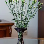 Violetos Lux Apartamentai 德拉肯恩凯
