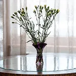 Violetos Lux Apartamentai *