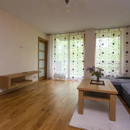 Apartament Violetos Lux Apartamentai Druskieniki