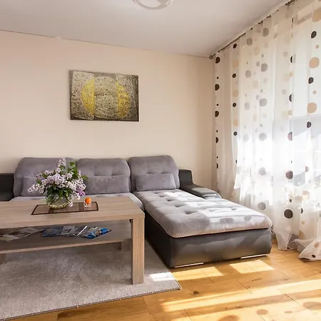 Violetos Lux Apartamentai Apartment Druskininkai