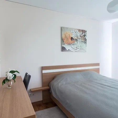 Violetos Lux Apartamentai Апартаменты Друскининкай