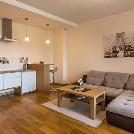 Violetos Lux Apartamentai Druskininkai