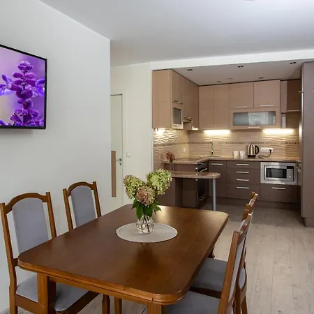 Violetos Lux Apartamentai Druskininkai