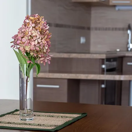 Violetos Lux Apartamentai Apartment Druskininkai