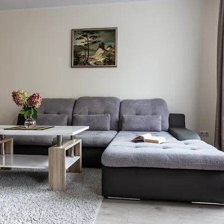 Violetos Lux Apartamentai Apartament Druskieniki