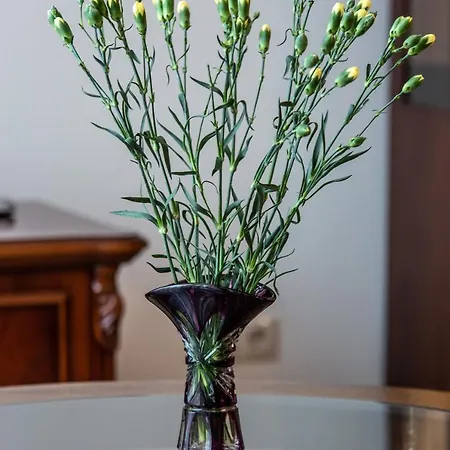 Violetos Lux Apartamentai Druskininkai