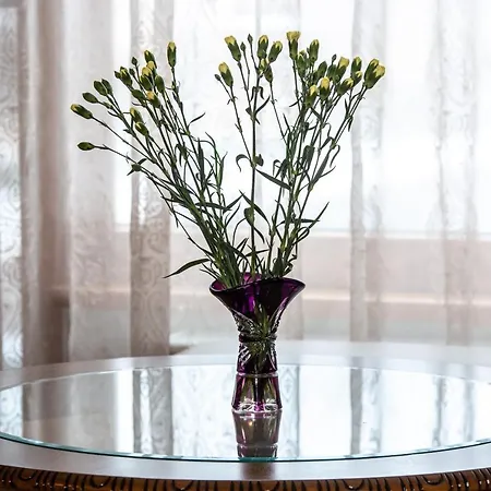 Violetos Lux Apartamentai *