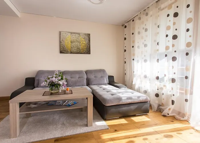 Violetos Lux Apartamentai Daire Druskininkai