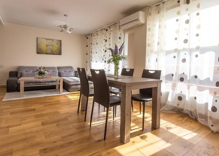 Violetos Lux Apartamentai Druskieniki