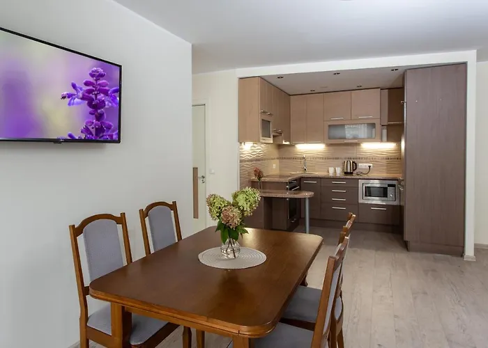 Violetos Lux Apartamentai Druskieniki