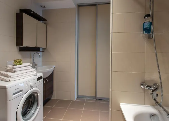 Daire Violetos Lux Apartamentai Druskininkai