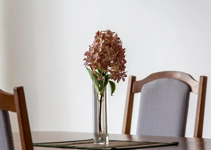 Violetos Lux Apartamentai