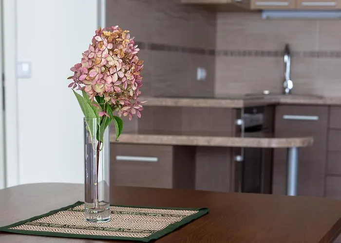 Violetos Lux Apartamentai Apartament Druskieniki