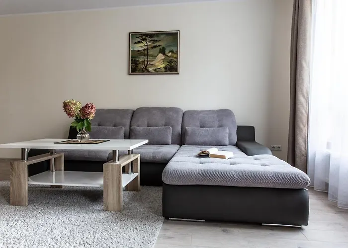 Violetos Lux Apartamentai Apartament Druskieniki