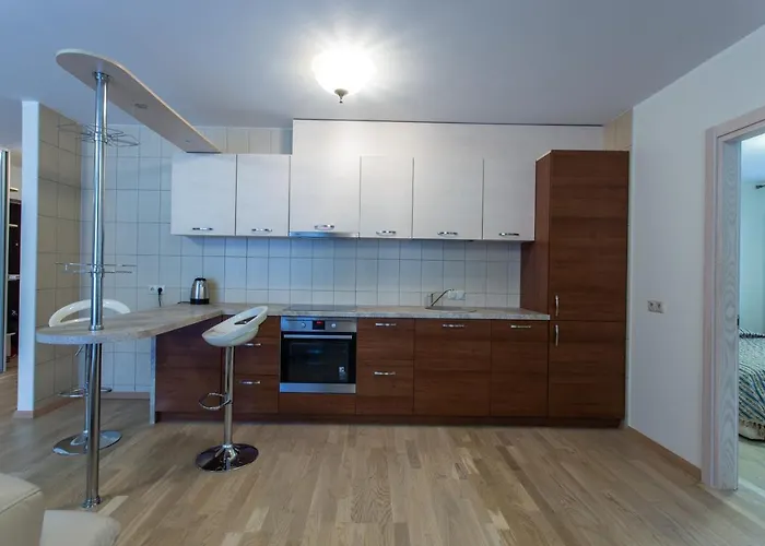 Violetos Lux Apartamentai * Druskieniki