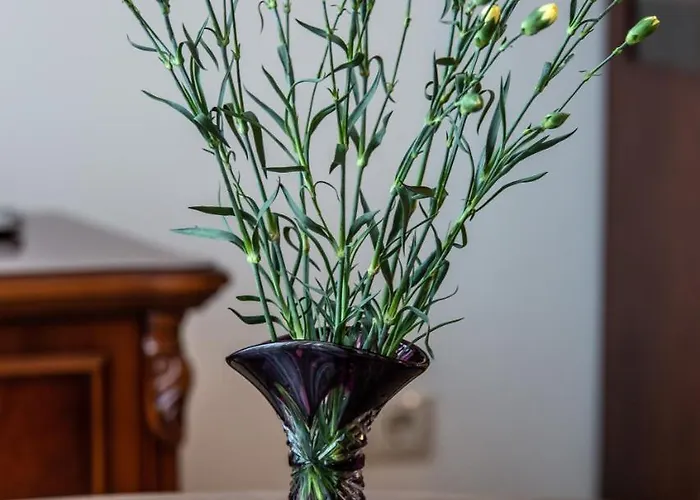 Violetos Lux Apartamentai Druskieniki